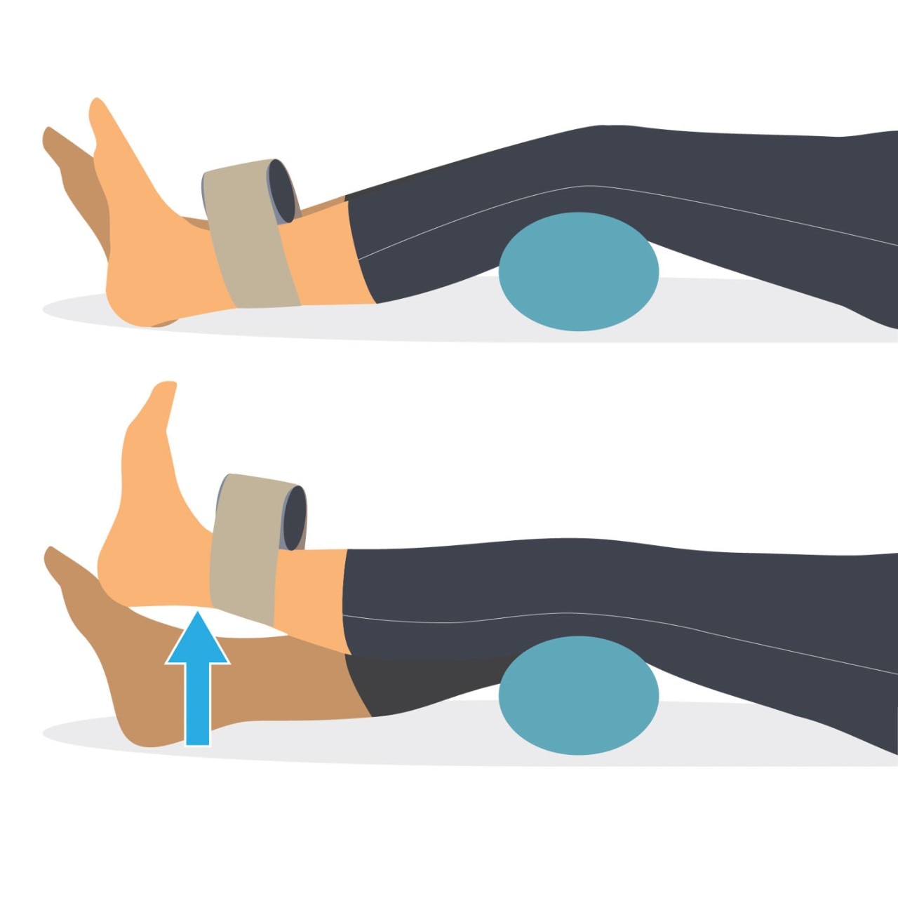 Isometric quads exercises online