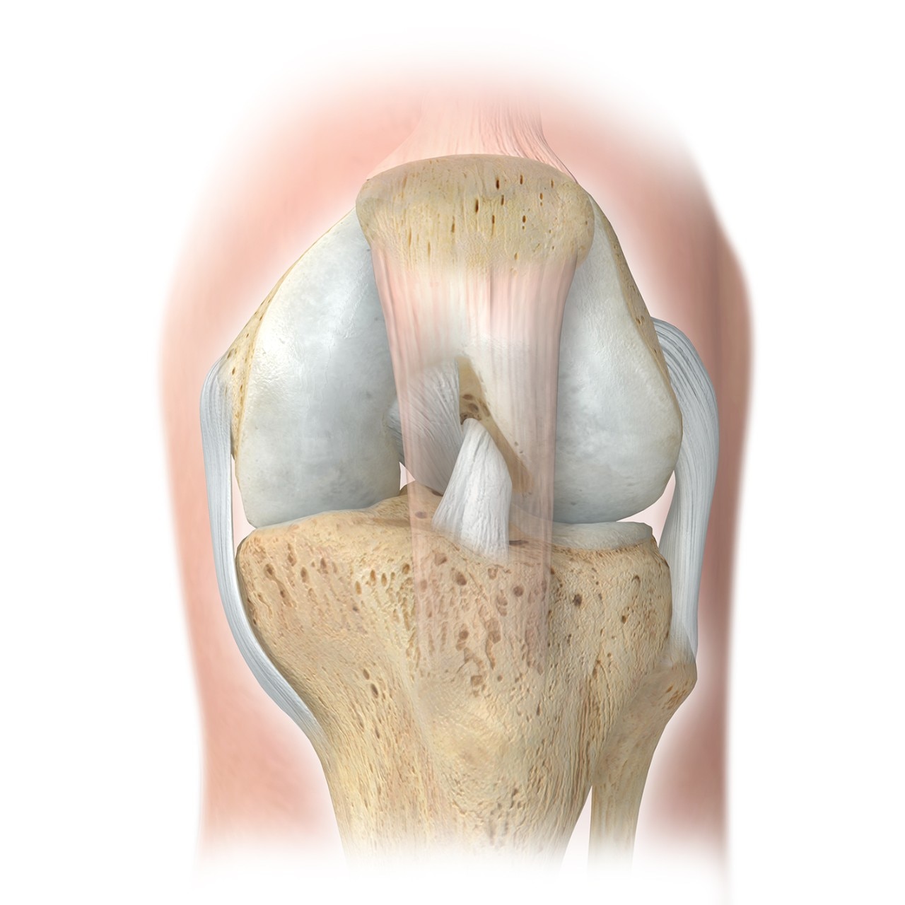 knee-pain-relief-surgical-treatment-options-healthy-knee