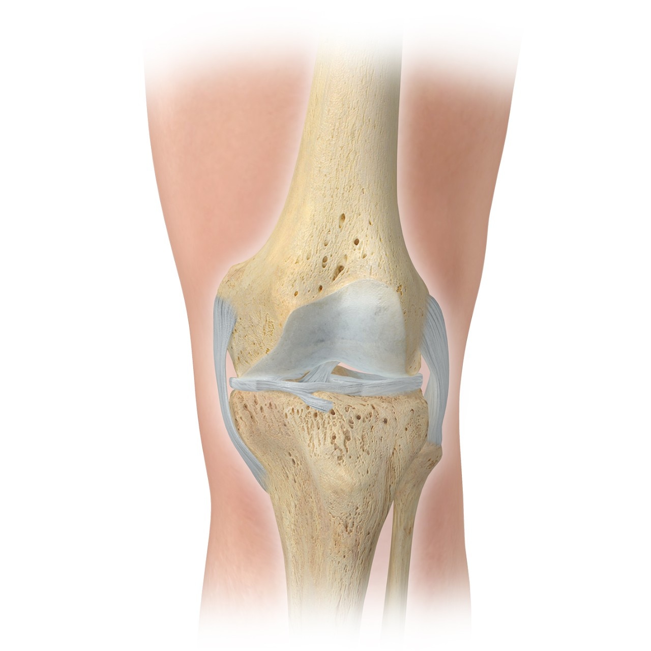 anterior knee - recovering from joint replacement surgery